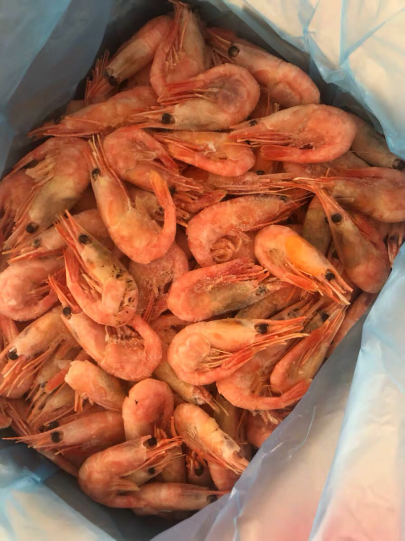 北极熊冰虾