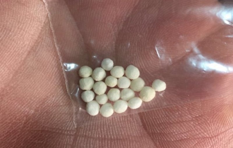 香铃子.道地药材，质优价实，品质保证，药典标准一公斤起批