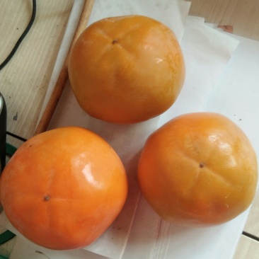 脆柿