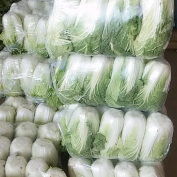 精品白菜