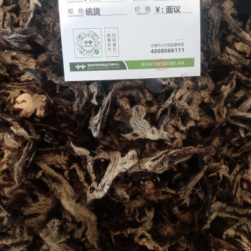 升麻1公斤起批不包邮供应千种中药材批发零售各种中药材