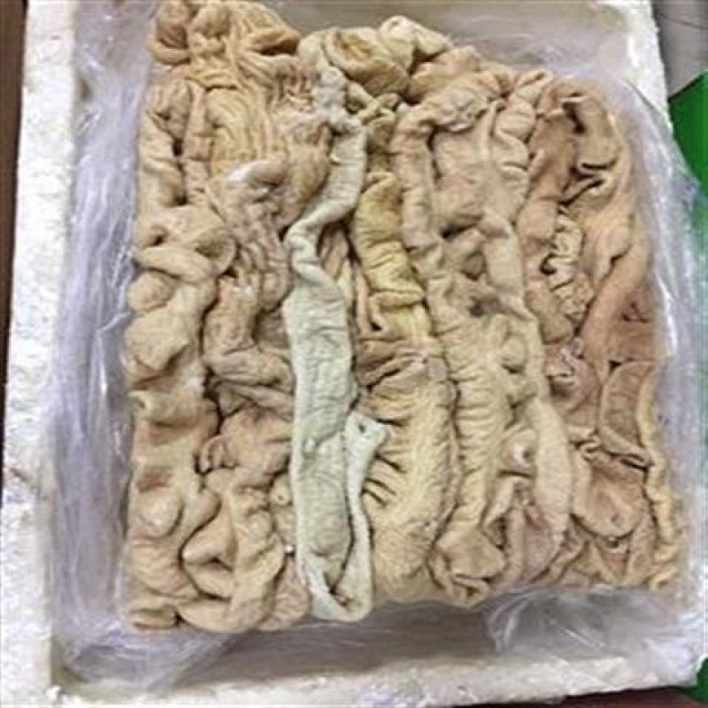 冷冻猪大肠新鲜免洗速冻肥肠肠头半熟20斤干净无油猪肠