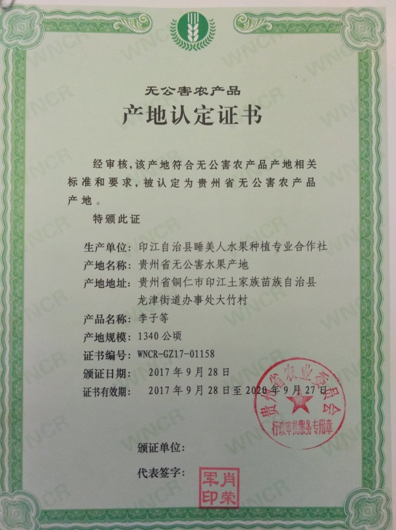 :紫金李糖脆李空心李
