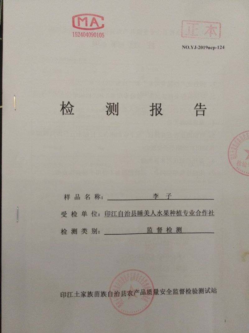 :紫金李糖脆李空心李