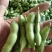 本地毛豆翠绿宝毛豆大量上市产地直发一手货源，可视屏看货