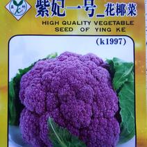 【买二送一】紫色花椰菜种子紫妃一号中迟熟花菜籽春秋季播种