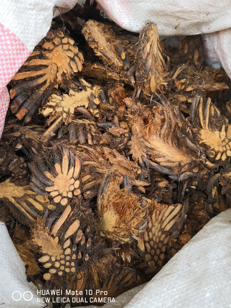 绵马贯众东北干货无硫熏天然晒干量大从优