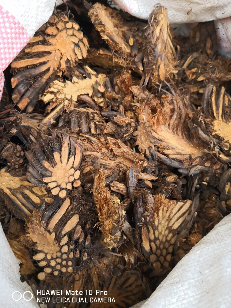 绵马贯众东北干货无硫熏天然晒干量大从优