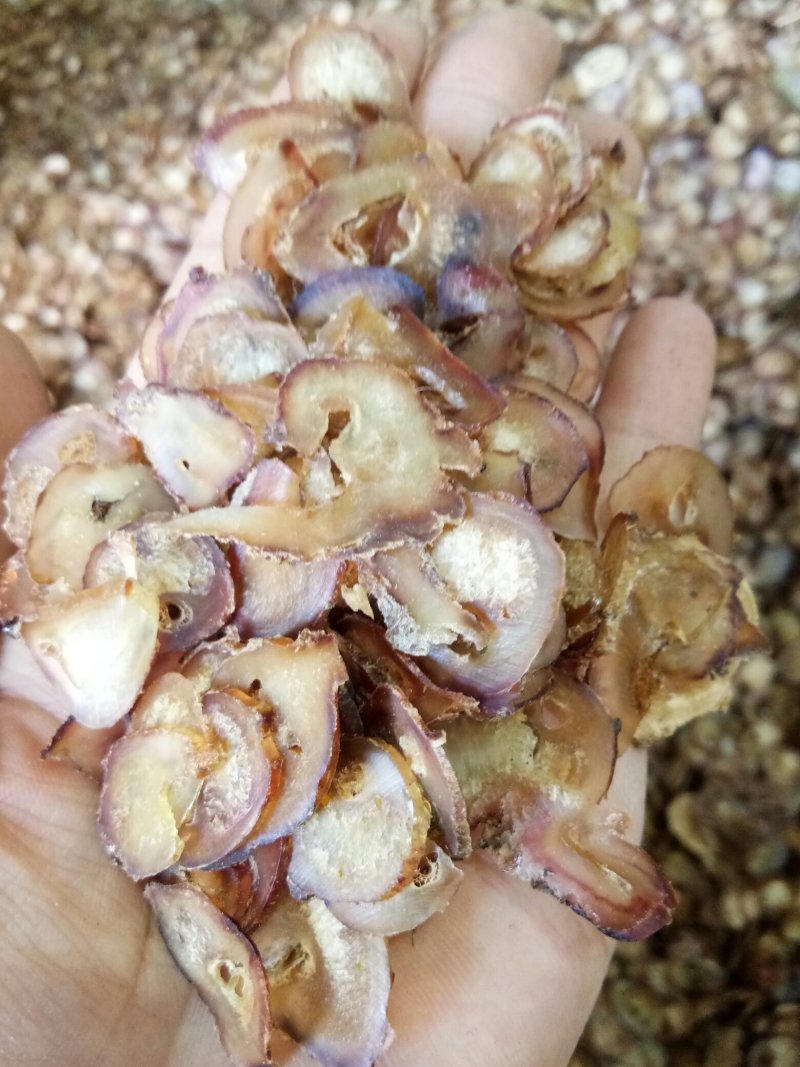 牛鞭片无硫干品煲汤男性滋补泡酒料一斤起包邮