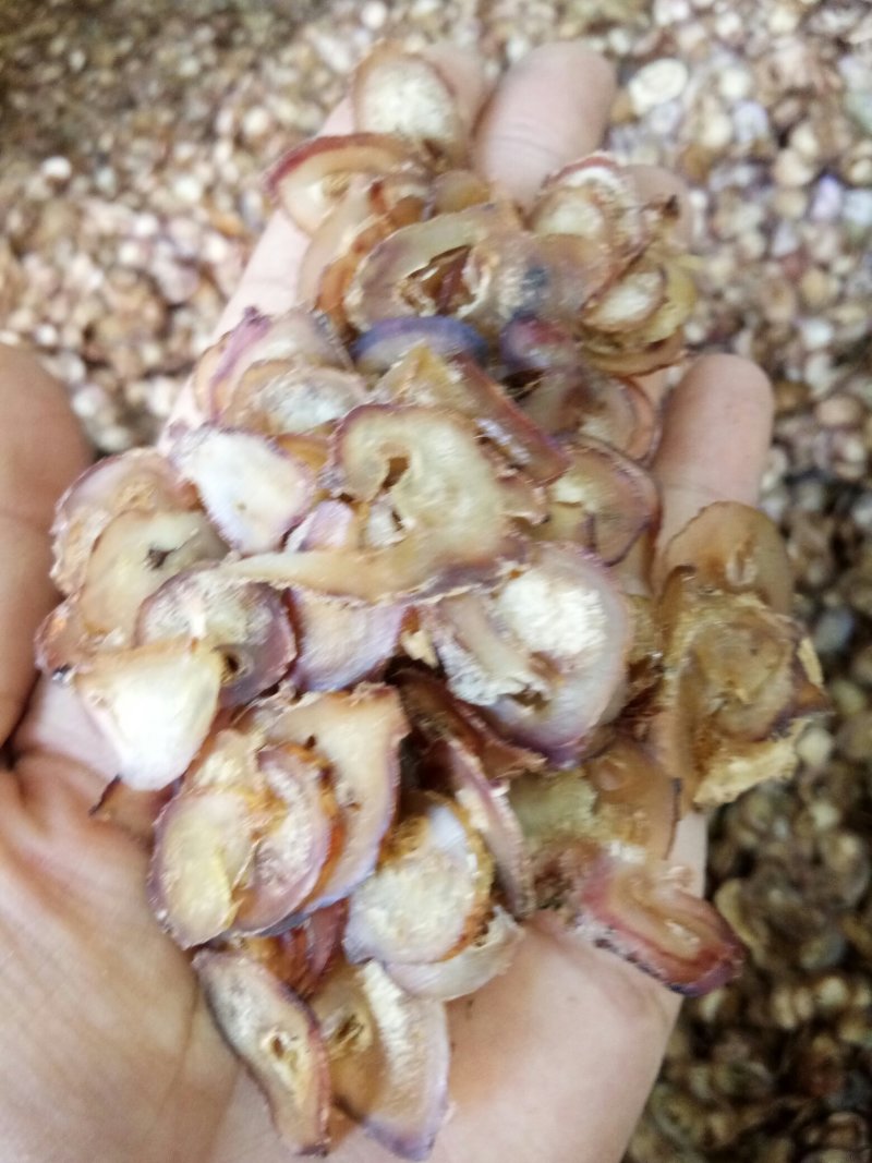 牛鞭片无硫干品煲汤男性滋补泡酒料一斤起包邮