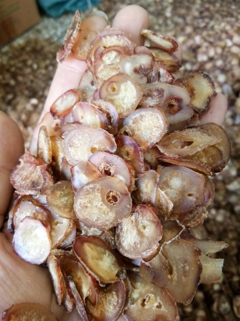 牛鞭片无硫干品煲汤男性滋补泡酒料一斤起包邮