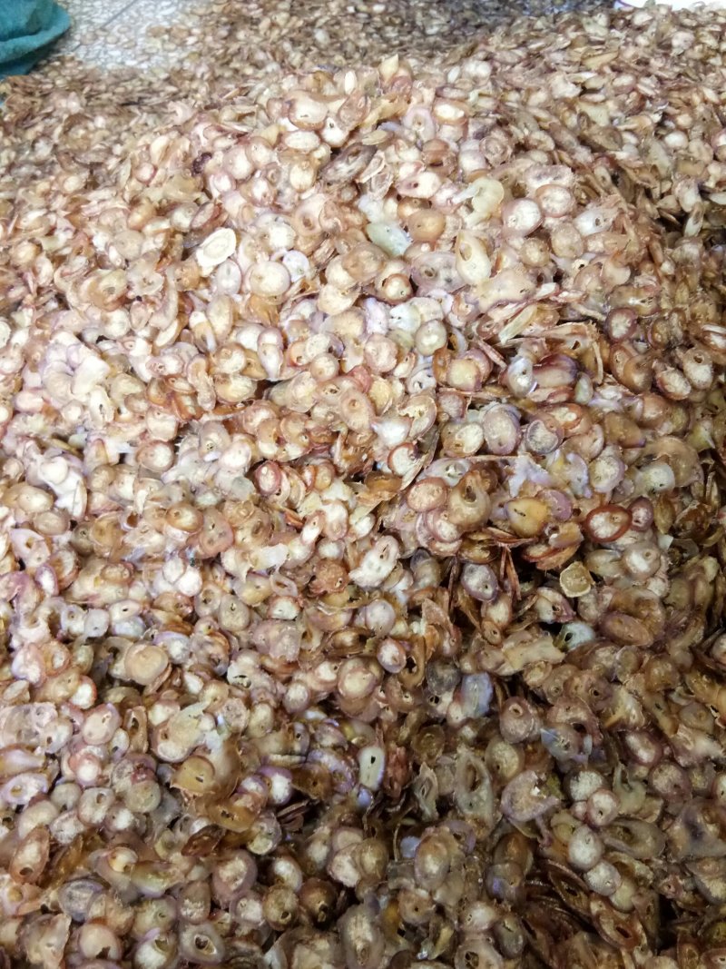 牛鞭片无硫干品煲汤男性滋补泡酒料一斤起包邮