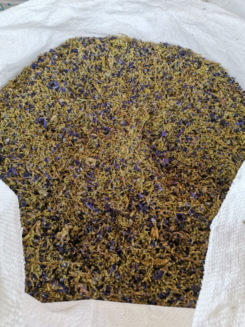 小葛花，青藤花，足干纯野生