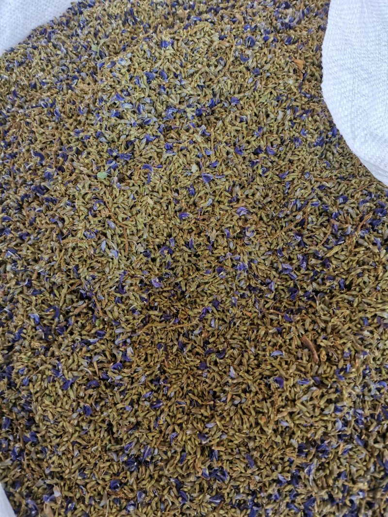 小葛花，青藤花，足干纯野生