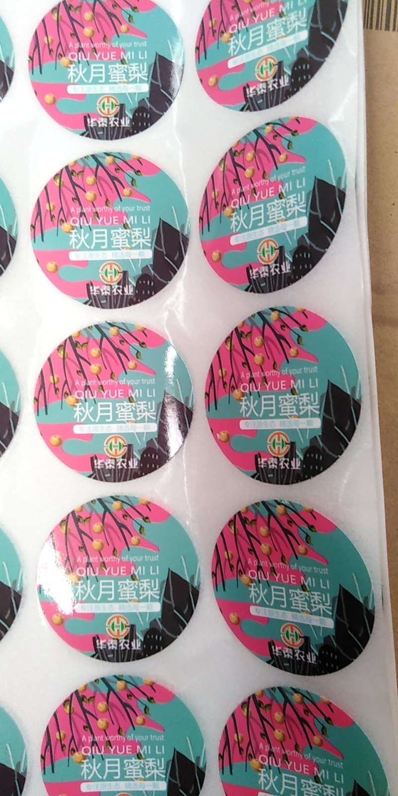 水果标签秋月梨南水梨