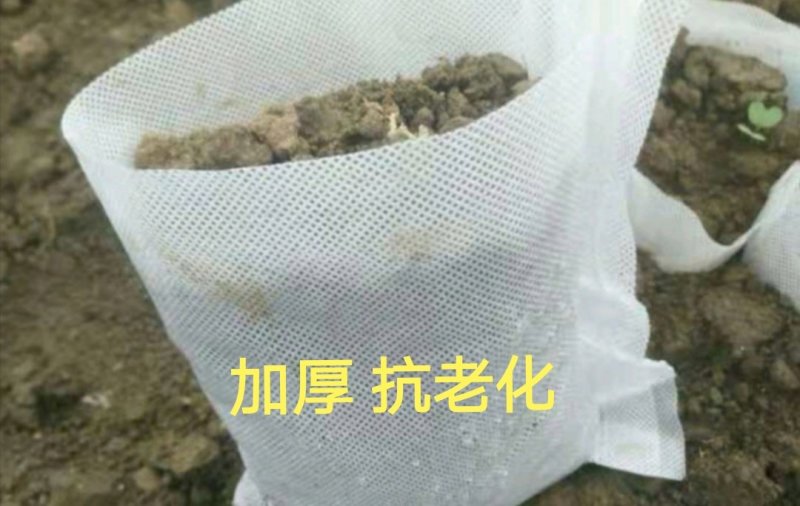 加厚无纺布育苗袋柑橘脐橙柚子等育苗容器种植袋工厂价批发