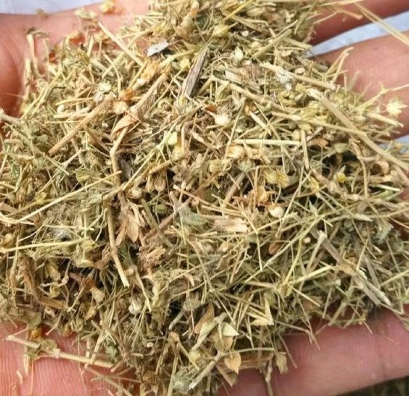 小米草.道地药材，质优价实，品质保证，药典标准一公斤起批