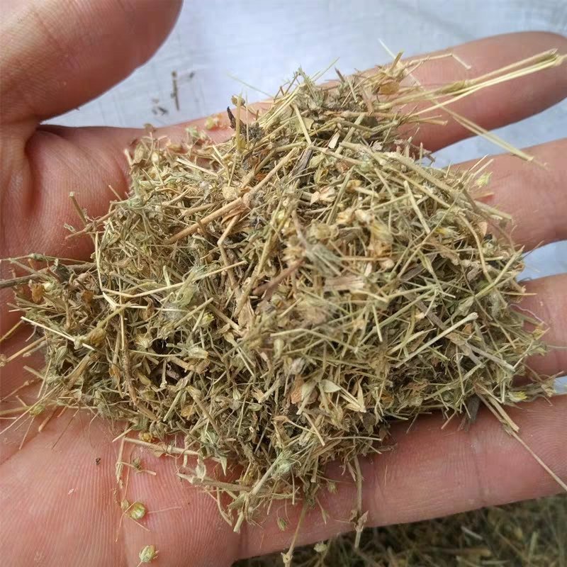 小米草.道地药材，质优价实，品质保证，药典标准一公斤起批