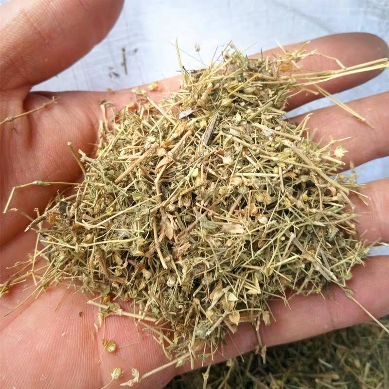 小米草.道地药材，质优价实，品质保证，药典标准一公斤起批