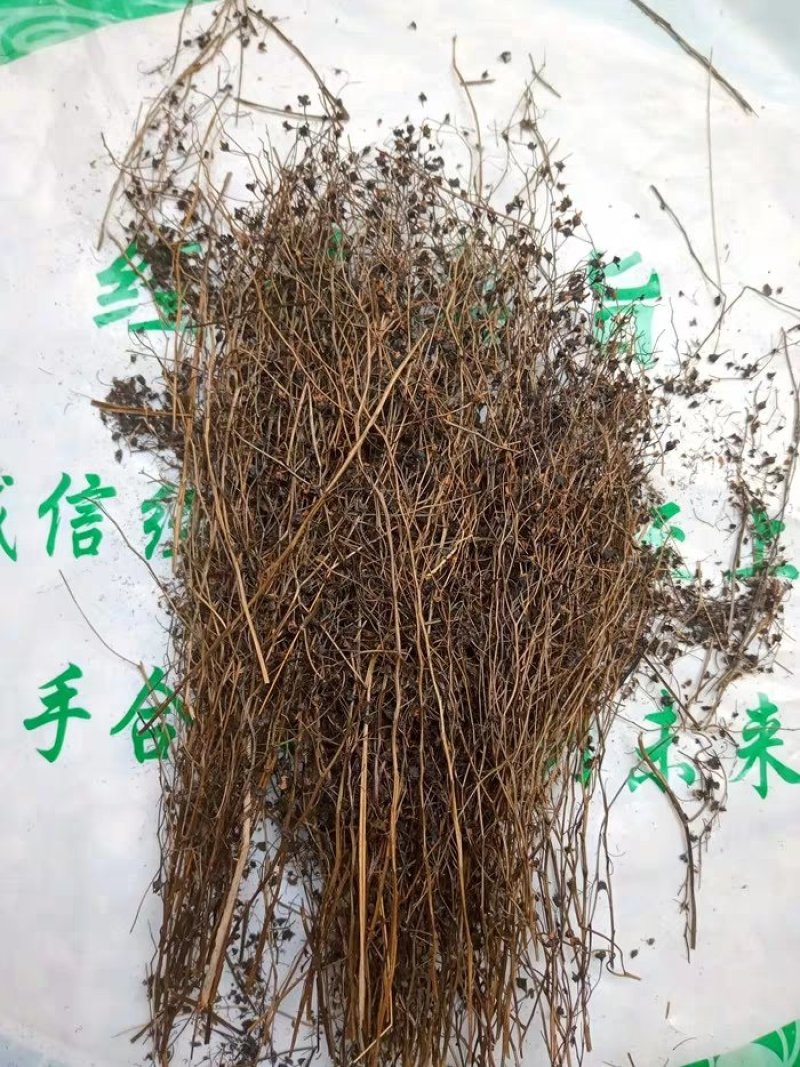 茅膏菜.道地药材，质优价实，品质保证，药典标准一公斤起批