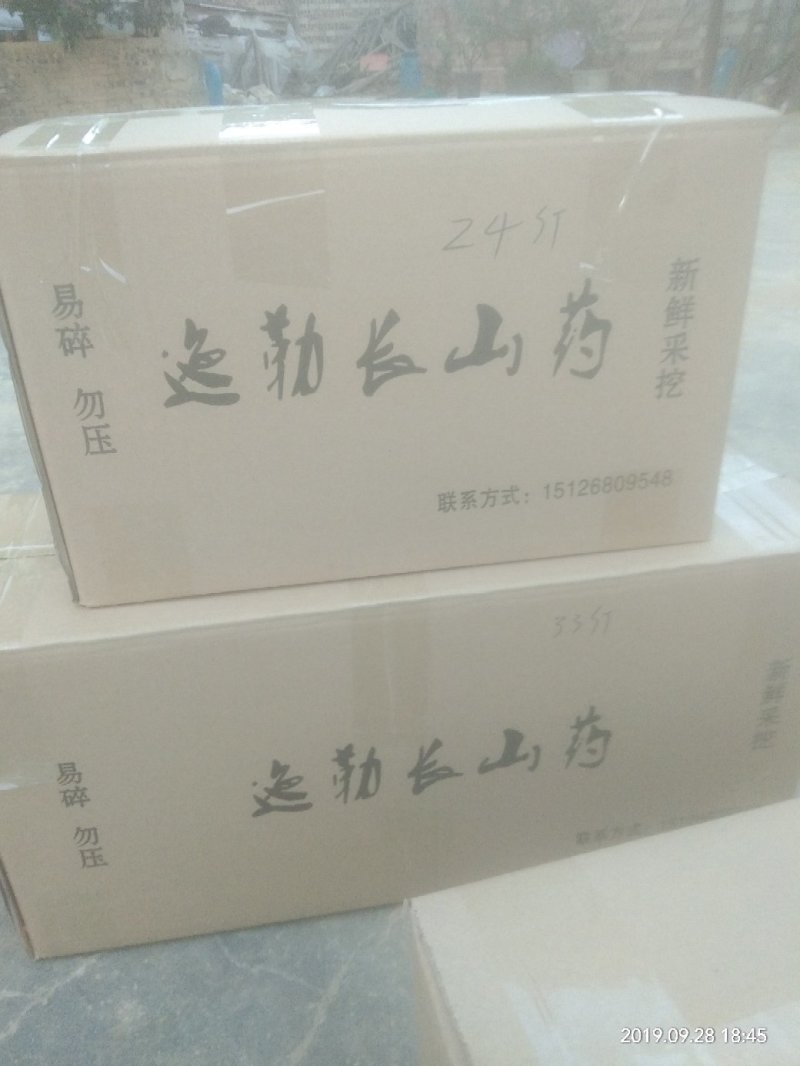 迤勒长山药