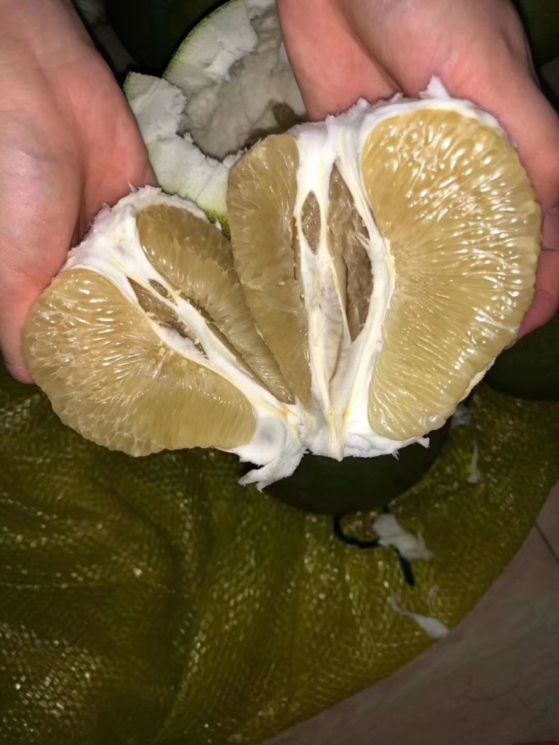 柚子（东试早）
