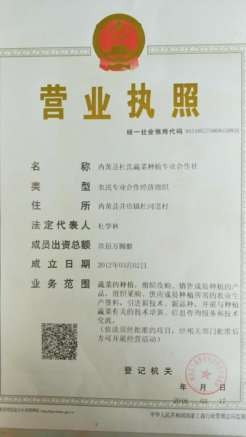 红根蒜苗，，，，诚信赢天下，，，信誉是第一