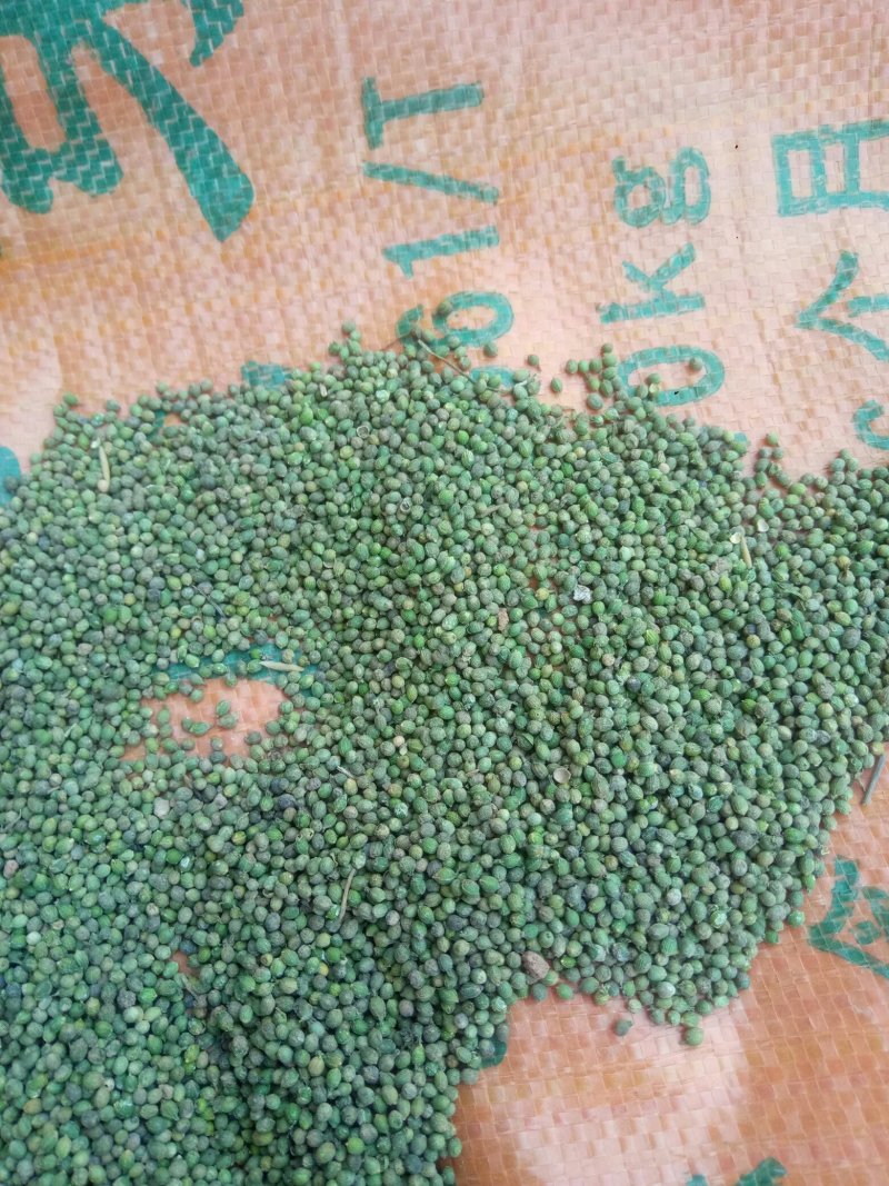 百蕊草(干货野生，带有沫子的通货)