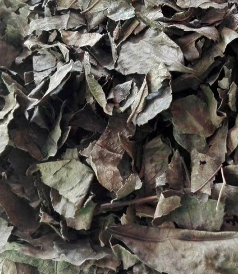通城虎.道地药材，质优价实，品质保证，药典标准一公斤起批