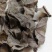 通城虎.道地药材,质优价实,品质保证,药典标准一公斤起批