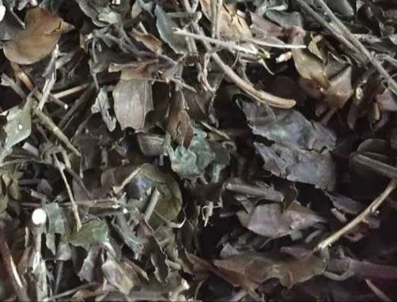扭肚藤.道地药材，质优价实，品质保证，药典标准，产地广东