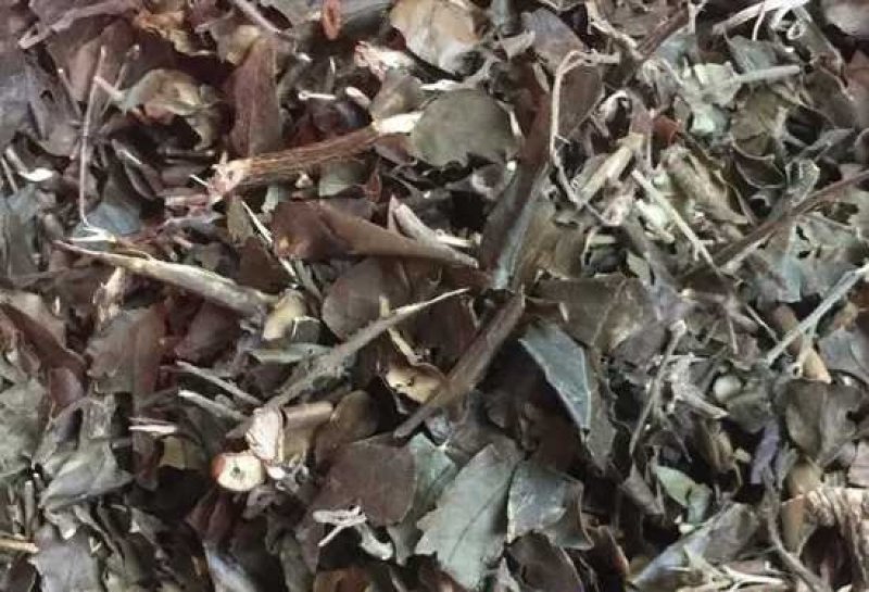 扭肚藤.道地药材，质优价实，品质保证，药典标准，产地广东