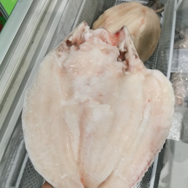 越南腌制开背巴沙鱼，探鱼同款，龙利鱼