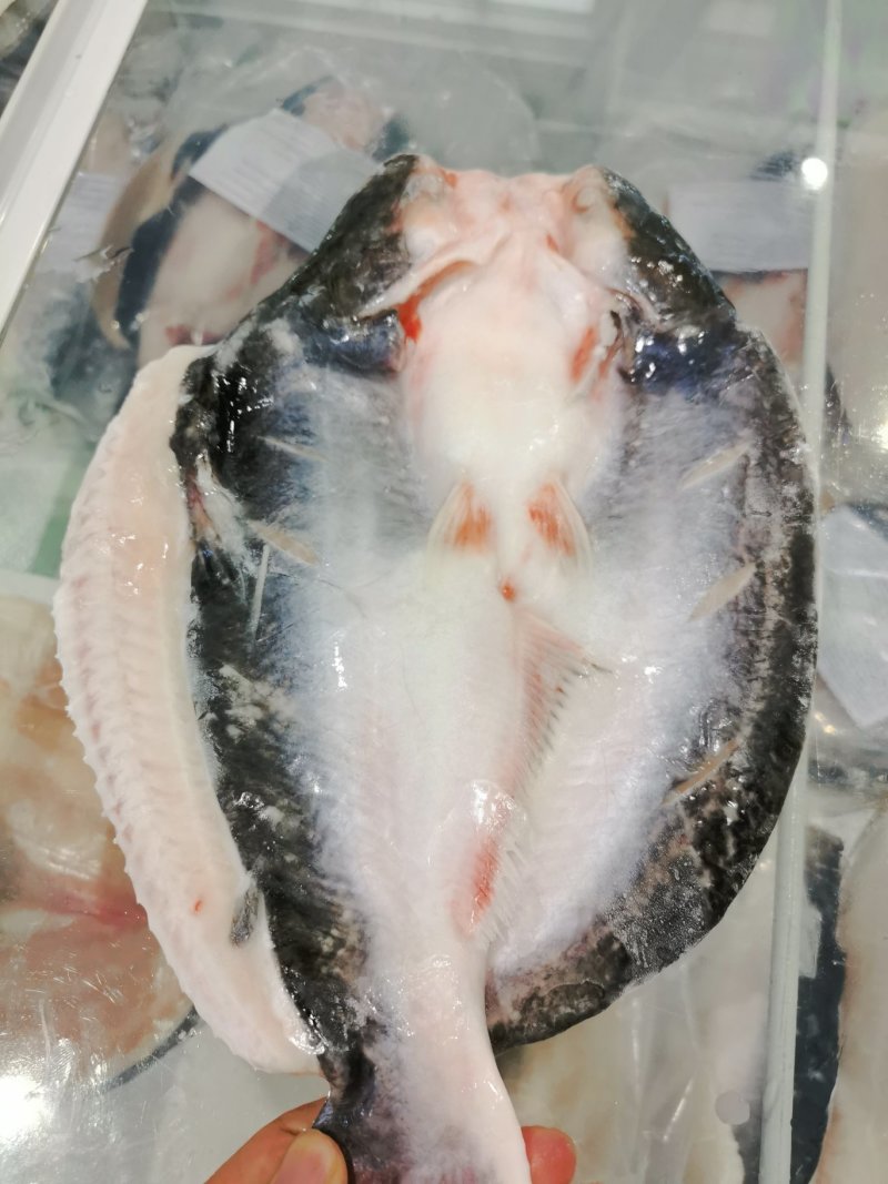 越南腌制开背巴沙鱼，探鱼同款，龙利鱼