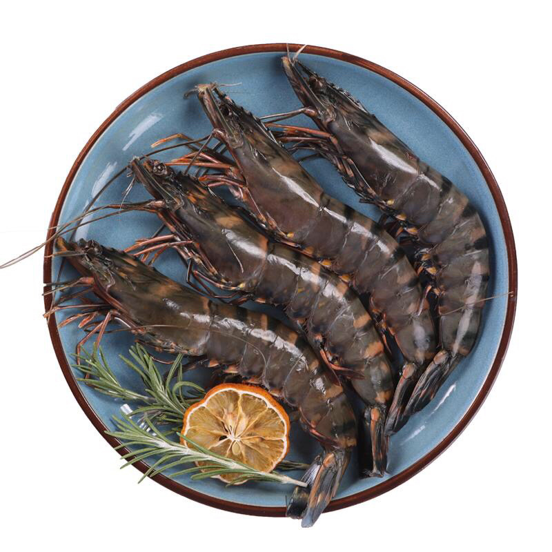 【餐饮直供】深海斑节虾九节虾活急冻斑节虾顺丰冷链包邮