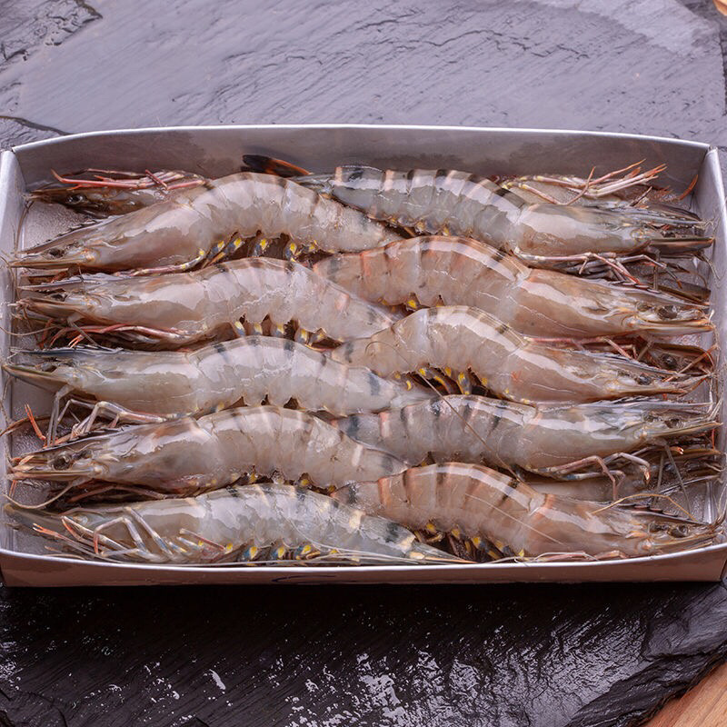 【餐饮直供】深海斑节虾九节虾活急冻斑节虾顺丰冷链包邮