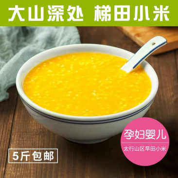 太行山旱田小米月子米宝宝米一件代发大量批发