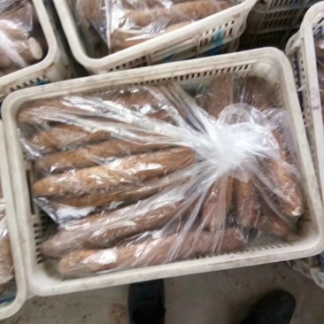 白玉山药颜色好质量好