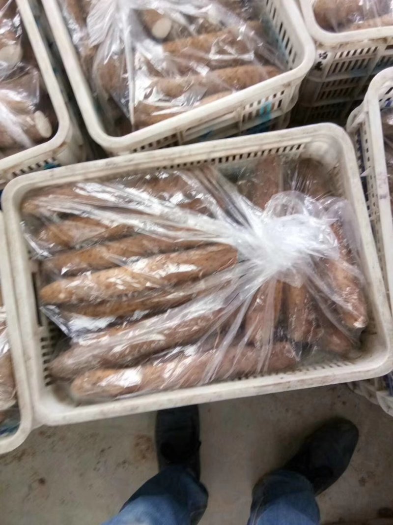 白玉山药颜色好质量好