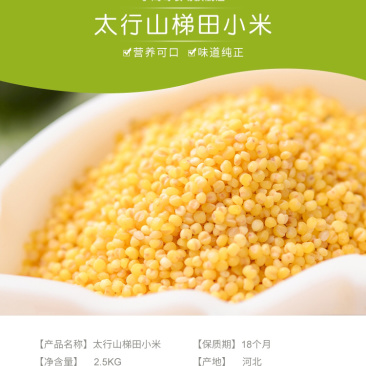 太行山旱田黄小米月子米宝宝米全国批发