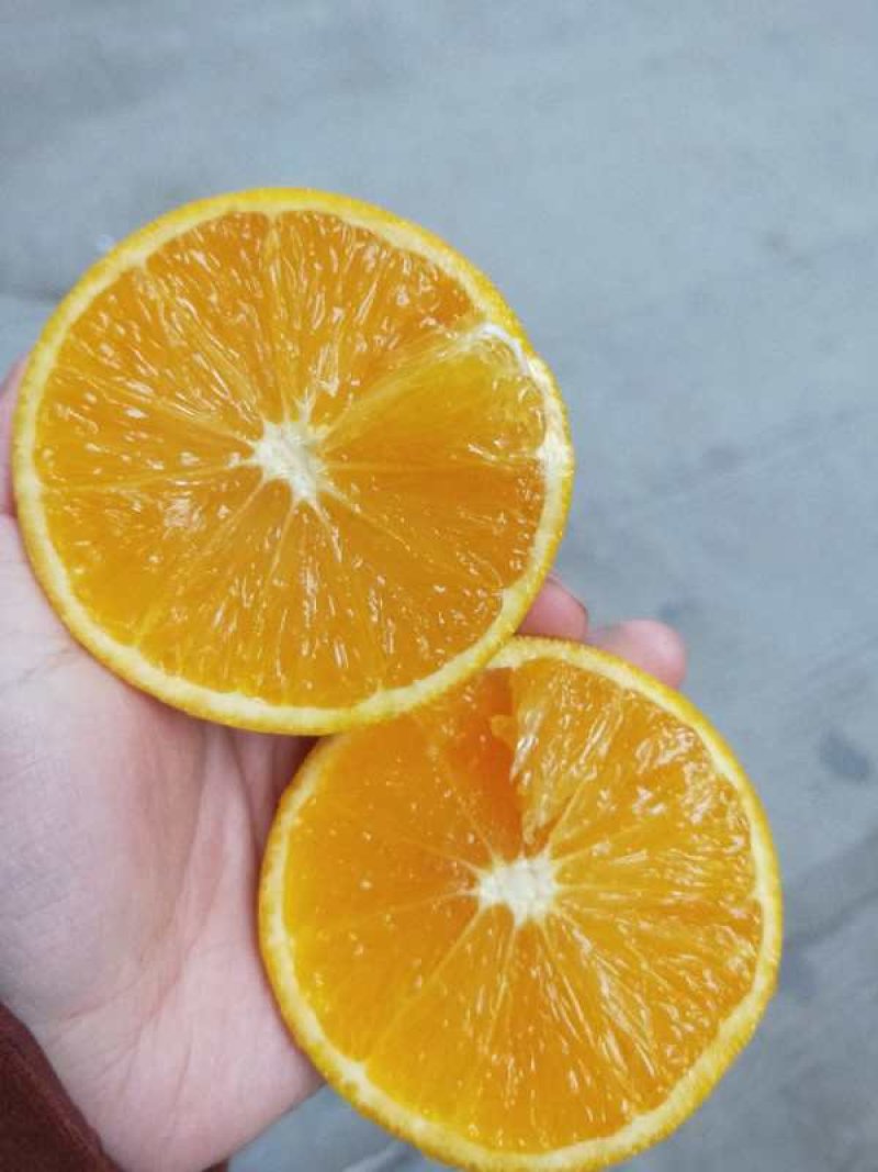 麻阳纽荷尔脐橙口感香甜，皮溥无籽孕妇水果一千斤以上起批