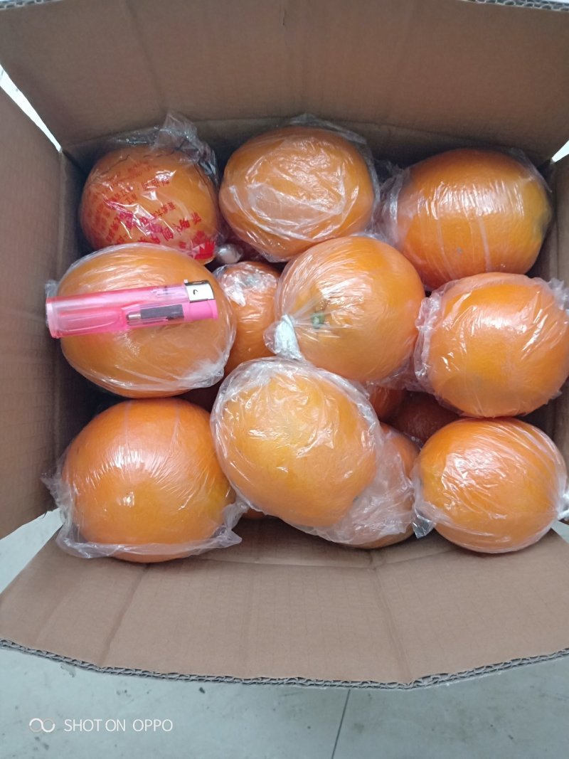 麻阳纽荷尔脐橙口感香甜，皮溥无籽孕妇水果一千斤以上起批