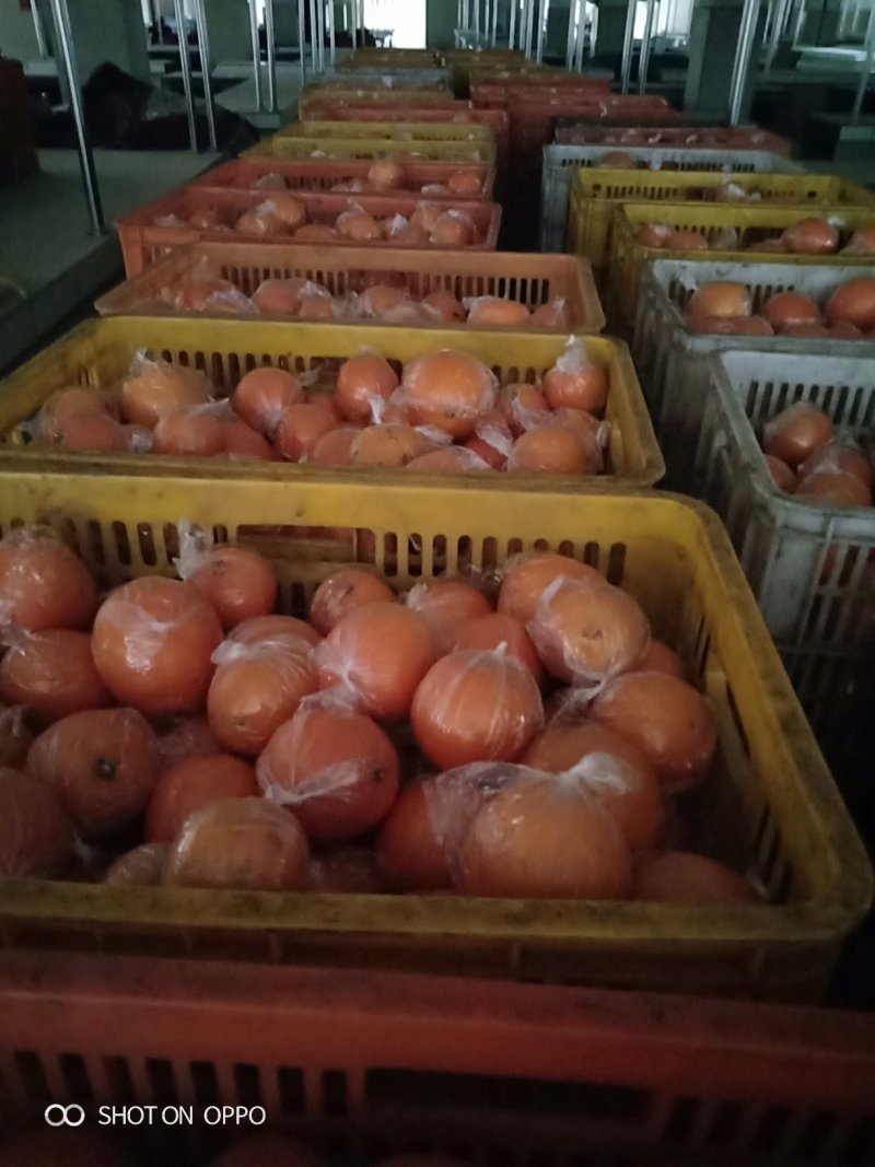 麻阳纽荷尔脐橙口感香甜，皮溥无籽孕妇水果一千斤以上起批