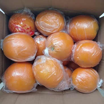 麻阳纽荷尔脐橙口感香甜，皮溥无籽孕妇水果一千斤以上起批