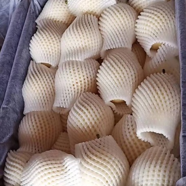 皇冠梨雪花梨鸭梨