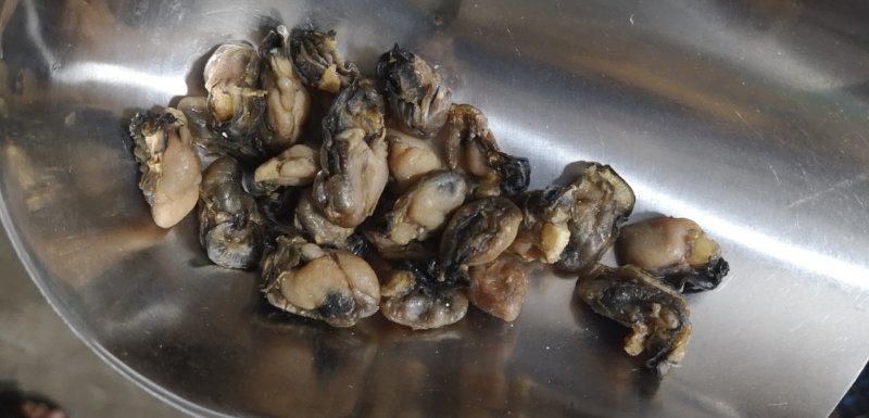 淡干海蛎干煮熟烤干无沙鲜甜的