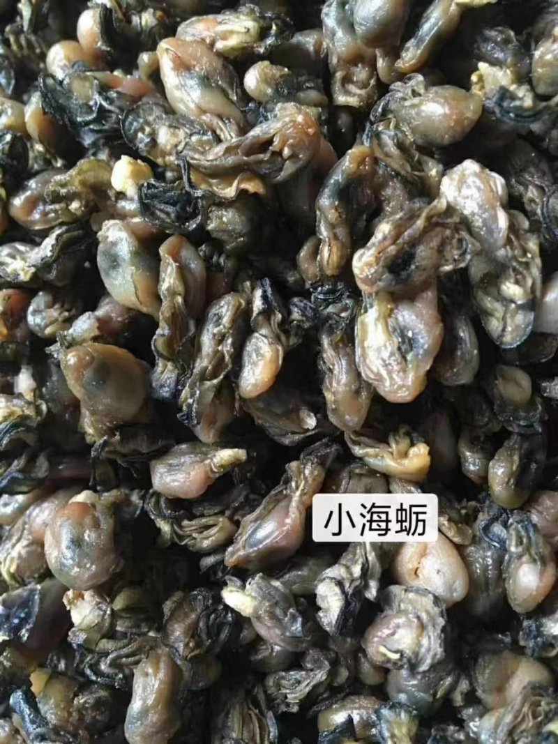 淡干海蛎干煮熟烤干无沙鲜甜的