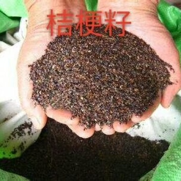 产地直销一手货源桔梗籽