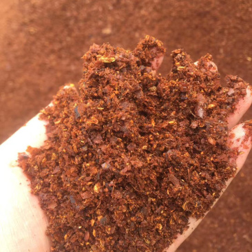 发酵辣椒粕天然色素喂鸡神器辅料鸡蛋增色