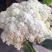 白花菜，木公花菜，荆菜大量上市